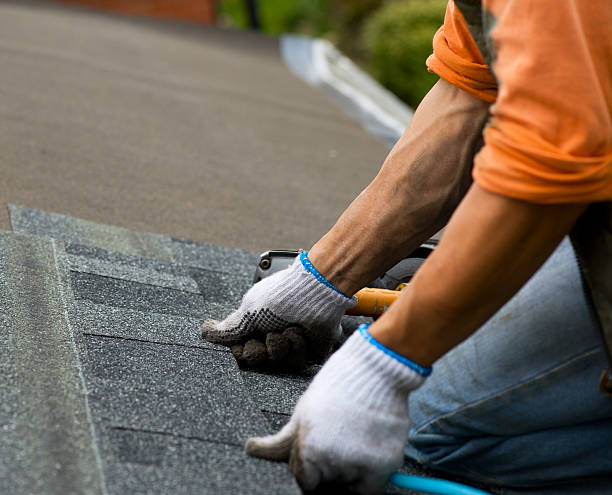 Best Roof Gutter Cleaning  in Guymon, OK